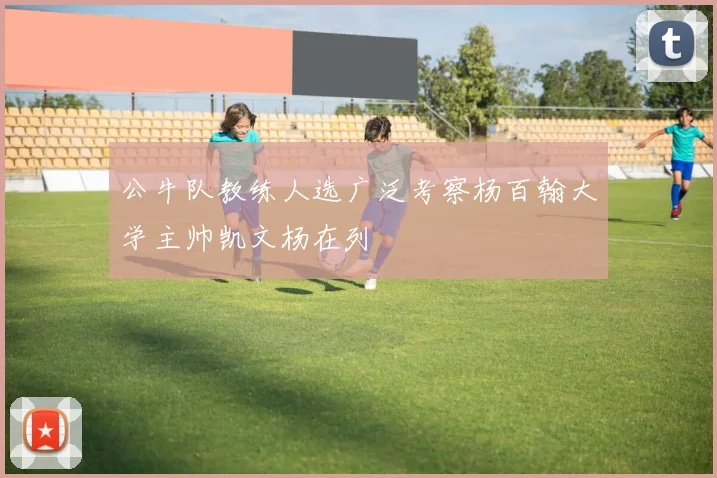 公牛队教练人选广泛考察杨百翰大学主帅凯文杨在列