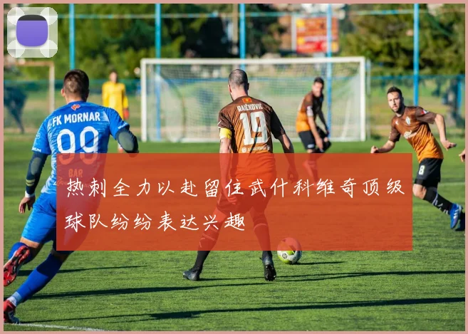热刺全力以赴留住武什科维奇顶级球队纷纷表达兴趣